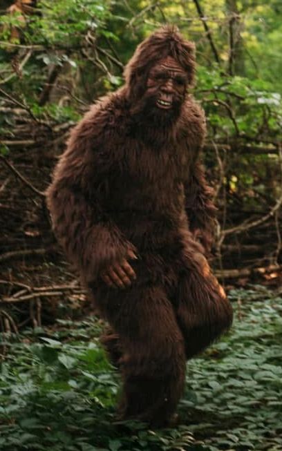 bigfoot brownwoods